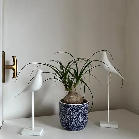 Apartament Alla Scalinata Oria (Como)